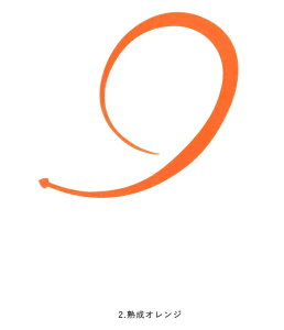 y5Zbg/NbN|XgznuT(Hayabusa) [SE189] t[XCh JX^VRlN^C oL[J[[VO nIW(M-SK)