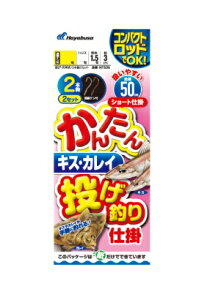 yNbN|XgznuT(Hayabusa) [NT536]񂽂 LXEJC ނd| 2{b