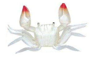 yNbN|XgziJW}(NAKAZIMA/NPK) JjxCg (5)