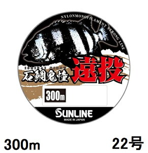 TC(SUNLINE) iCC ΑS  300mP 22