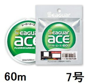 yNbN|XgzV[K[(SEAGUAR) tJ[{nX V[K[ G[X 60mP 7