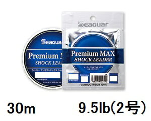 yNbN|XgzV[K[(SEAGUAR) \gQ[ V[K[ v~A}bNXVbN[_[ 30m 9.5lb(2)