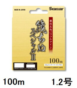 yNbN|XgzV[K[(SEAGUAR) `k/Wi V[K[ ʃXyVII 100m 1.2