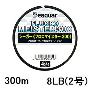 V[K[(SEAGUAR) ALL FIELD V[K[ t}CX^[300 300m 8lb(2)