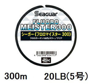 V[K[(SEAGUAR) ALL FIELD V[K[ t}CX^[300 300m 20lb(5)