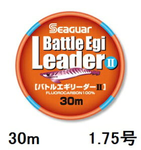 yNbN|XgzV[K[(SEAGUAR) GMO V[K[ ogGM[_[II 30m 1.75