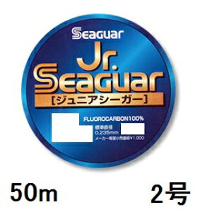 yNbN|XgzV[K[(SEAGUAR) tJ[{nX Jr.V[K[ 50m 2