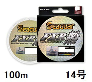 yNbN|XgzV[K[(SEAGUAR) tJ[{nX V[K[ FXRD 100m 14