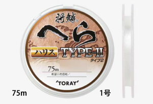 yNbN|Xgz (TORAY)  ւ TYPE-II nX 75m 1