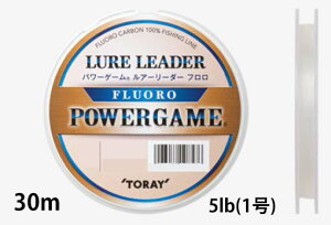 yNbN|Xgz (TORAY) p[Q[ A[[_[ 30m 5lb(1)