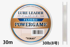 yNbN|Xgz (TORAY) p[Q[ A[[_[ 30m 30lb(8)