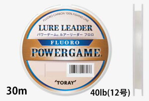 yNbN|Xgz (TORAY) p[Q[ A[[_[ 30m 40lb(12)