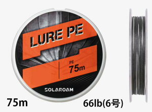 yNbN|Xgz(TORAY) \[ A[PE Vo[O[ 75m 66lb(6)