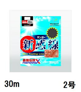 �T�����[�i�C����(Sanyo) APPLAUD �T�����[�V���� nanodaX�y�i�m�_�b�N�X�z 30m 2��