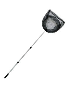 }V(DRAGON) X`[ Op~j 3i