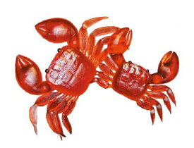 【クリックポスト】マルシン漁具(DRAGON) 赤カニ