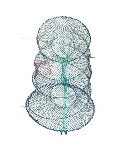 }V(DRAGON) XvOAiSJS3i