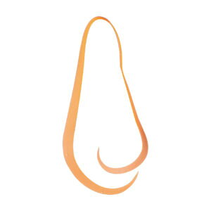 y5Zbg/NbN|Xgz ܂(gamakatsu) lN^C  VRlN^C }`~fBAJ[[