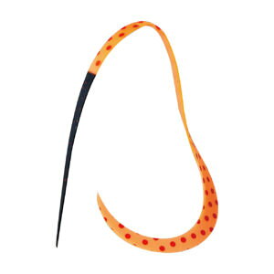 y5Zbg/NbN|Xgz ܂(gamakatsu) lN^C  VRlN^C VOrbOJ[[