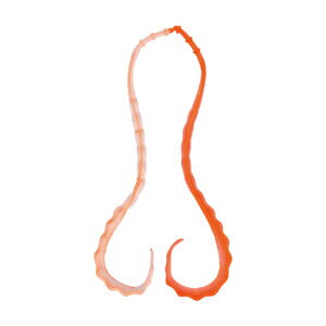 y5Zbg/NbN|Xgz ܂(gamakatsu) lN^C  3D \tglN^C