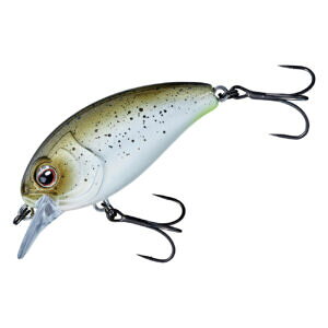 y2Zbg/NbN|Xgz ܂(gamakatsu) n[hxCg AxWNN 100