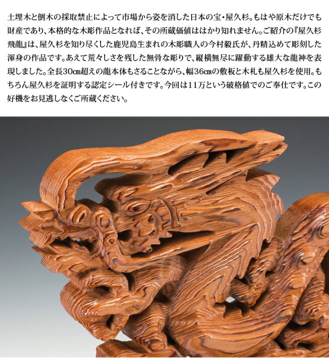 楽天市場】屋久杉 飛龍 認定シール付き 木彫作品 龍神 彫刻 木札付き 