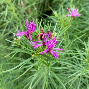 sNJԕctxmjA@ACAo^tCy10.5cm|bgz