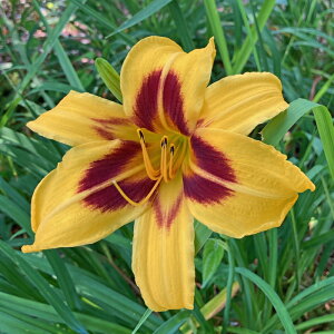 sNJԕctwJX@{iUy15.0cm|bgz