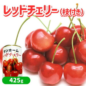 チェリー 缶詰」の人気商品一覧・価格比較 - 価格.com