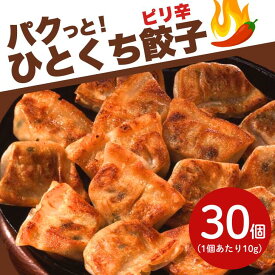 サンホーム パクッとひとくち餃子（ピリ辛）10gX30個入冷凍餃子 ギョウザ おつまみ ビール 惣菜 あて ピリ辛 辛い お酒 あて 簡単 つまみ ぎょうざ 中華 家飲み 一口 一口餃子 ミニ 酒のつまみ 居酒屋 ミニサイズ 立ち飲み屋