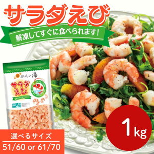 �y�{�C���ς݁z���������C �T���_���� 51/60 61/70 1kg ASC�F�ؗⓀ �C�V �ނ��C�V �ނ��G�r ���� �G�r �C�V �{�C�� �Ⓚ�H�i �Ⓚ�G�r �ނ����� �Ɩ��p �H�� �H�i �{�C���C�V �{�C������ �O�� �T