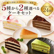 サンホーム 選べる冷凍カットケーキセット 24個入（2種×12個）冷凍 プレゼント ギフト ショートケーキ …