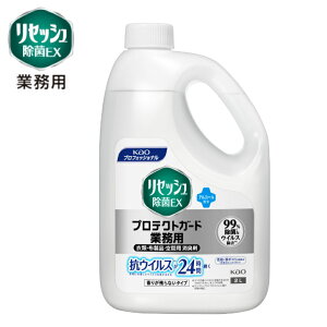 yƖp ZbVzԉvtFbViT[rX ZbVEX veNgK[h2L L risesshu cȂ veNgK[h ECX RECX 24 e Ɩp 