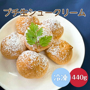 Tz[ v`V[N[ 440g×1 XC[c mَq V[N[ v`V[ Ⓚ fU[g ЂƂ z[p[eB[  ~j JX^[h a w ЂXC[c 