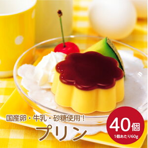 tbN v 60 60g×40ZbgY Ղ qǂ ǂ H q܃` ۈ  v[g Ȃ߂炩 mَq XC[c JtF p[eB[ vA[h  َq Ɩp 