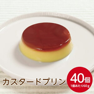 Tz[ JX^[hv 60g×40Ղ qǂ ǂ H q܃` ۈ  v[g Ȃ߂炩 mَq XC[c JtF p[eB[ vA[h  َq Ɩp 