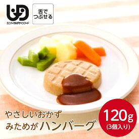 Umios やさしいおかず みためがハンバーグ3個120g冷凍 冷凍食品 惣菜 おかず 素材 食材 介護食 やわらか食 ハンバーグ お肉 肉 便利 高齢者 栄養食 時短調理 ムース 嚥下 舌でつぶせる ペースト 簡単 療養食 献立 自宅療養 自然解凍 施設 老人ホーム デイサービス