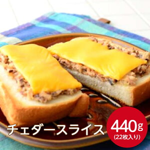 Ntg `F_[XCX 22 440gXi i `F_[`[Y XCX`[Y vZX`[Y T_ ThEBb` JtF gbsO H ܂ ȒP ٓ  Ɩp 