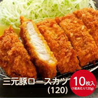 日東ベスト ベスト三元豚ロースカツR(120）120gX10枚 冷凍食品 メイン おかず カツ 皿盛り とんかつ トン…