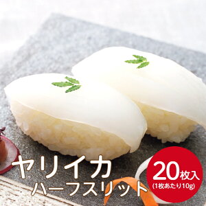 LN[ CJ 10gX20hg hg i l^  XV  CJ G i i CN 芪i b CN ]i Ă܂i ͂ Ɩp ƒp e 