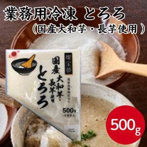 yƖpⓀƂzW Ƃ YaEgp 500g  ǂ  Ⓚ H y ȒP e Ⓚ ֗    gbsO 