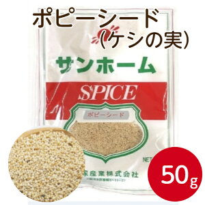 Tz[ |s[ V[h 50gPV PV̎  ̎ Hq Hq̎ XpCX n[u  h ` z[  ς َq  hq Ɩp ƒp  ܂Ƃߔ