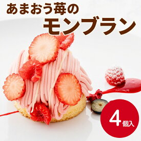五洋食品 福岡あまおう苺モンブラン 65g×4個～あまおう苺 いちご イチゴ 冷凍 洋菓子 デザート カフェ もんぶらん 誕生日 デザート 高齢者 こども 冷凍食品 長期保存 イベント パーティー おやつ お菓子 業務用 家庭用 お買い得 まとめ買い