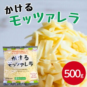 }t[h 郂bc@ 500gVbh`[Y bc@`[Y sU g[Xg O^ hA X[v pX^ T_ gbsO ^bJr tHf Ƃ낯 Ɩp ƒ