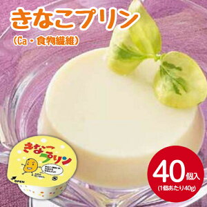 YSF ȂviCaEH@ہj40g×40@Ⓚ  { ǂ H q܃` ۈ  Ҏ{ ȕ a Ȃ߂炩 mَq XC[c JtF p[eB[ a  َq 