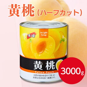 M n[t 1 3000g@ʋl     s[` n[tJbg Jbgt[c XC[c fU[g t[c|` hN gbsO t[cT_ P[L  ~ 