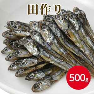 {Hi c 500gώ N   ۑH J^N`CV JVE  킵   NNn  aىN Hi Ɩp ƒp  ܂Ƃߔ