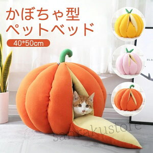 yz킢ڂfUC^ybgxbh J{`^ L xbh ybgnEX LbgnEX h[^ t H ~ p H~p _炩 nEB ΍ NbV }