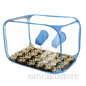  ͔|Lbg ܂肽ݎ ͔|Lbg }WbN}bV[p ͔|eg 60x60x90cm ȒPg CǗt ƒp ͔| ̌ wKp ώ@p LmR͔|Zbg S