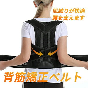 yz p pxg pT|[g  wؕ␳xg p Lwxg LwP ɗ\h w؃T|[g bT|[g ̊ p ʋC